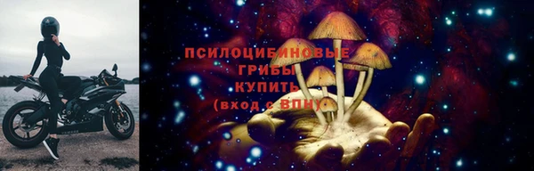mix Горняк