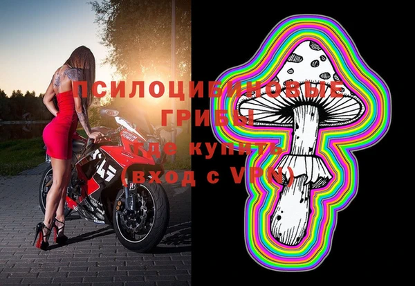 2c-b Горнозаводск
