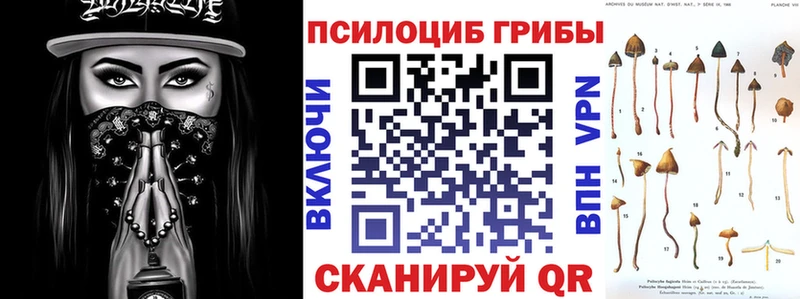 Галлюциногенные грибы мухоморы купить Нальчик