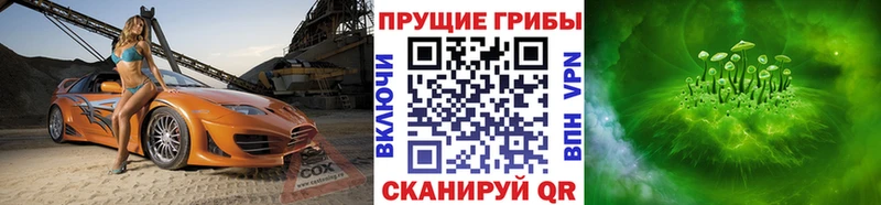 Псилоцибиновые грибы MAGIC MUSHROOMS Нальчик